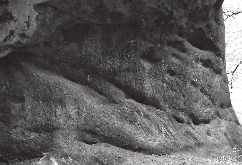 Obr.10. Skalná stena s rytinami pri vchode do jaskyne, Kienbachklamm 3. Foto: F. Engel Fig. 10. The rock wall with engravings at the entrance to a cave, Kienbachklamm 3. Photo: F.