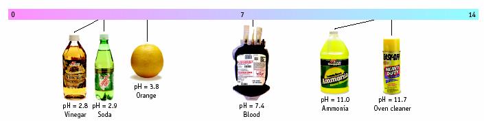 Acid-Base Rxns Macroscopic View ph scale is used to identify acids and bases, and indicate their level of strength ACIDS BASES 0 A chemical indicator can also indicate the ph (indicator compound