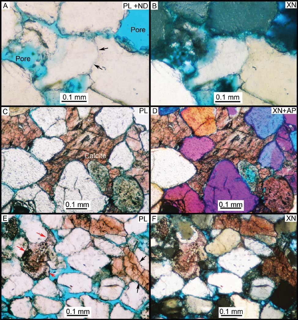 Supplemental Figure 5. Photomicrographs from samples of cemented channel materials in the Brushy Basin Member of the Morrison Formation (Figure 8, stop 2).