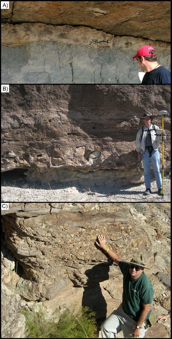 Supplemental Figure 6. Several examples of outcrop exposures at the base of paleochannels in the Ruby Ranch Member.