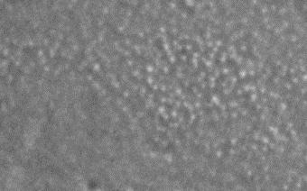 After annealing in the hydrogen atmosphere, silver clusters first appear at the surface 1. nm.75 1nm.5 nm.5 Fig. 1. SEM image of a cross section of a glass sample after ion exchange.