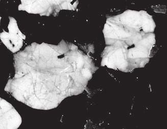 Cathodoluminescence images of quartz from sillimanite