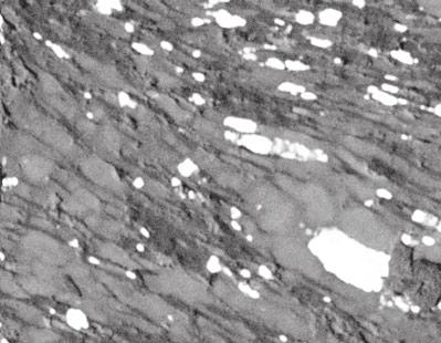 Cathodoluminescence images of samples of schist from the garnet grade.