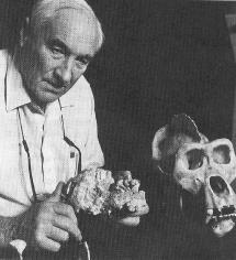 fragmentary remains Davidson Black British archaeologist Long term resident of East