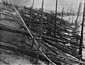 A photograph from Kulkʼs 1927 expedition showing devastation of the forest 19 years after a stony meteor of about 10 m (33 ft) in diameter exploded at an altitude of 6 to 10 km (4 to 6 miles).