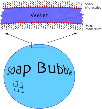 Figure 7. Soap bubble schematic, home.earthlink.net/~marutgers/science/soapbasics/gifs/bubble.gif Check for learning: Students repeat the How small am I? game.
