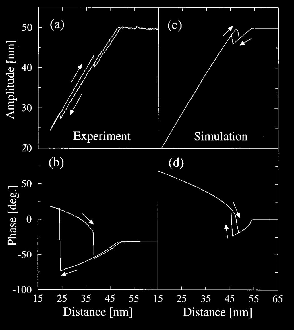 FIG. 7. General forward/reverse amplitude and phase vs distance trace when f 5 f c ~HOPG sample, 50 nm amplitude!. ~a! and ~b! Experimental data; ~c! and ~d! simulation.