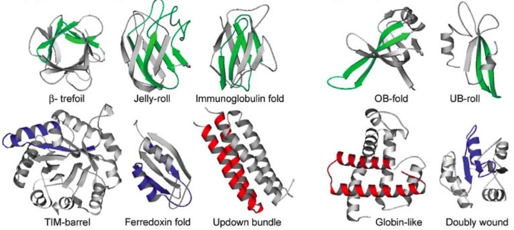 Protein domain is a basic evolutionary module and an important unit of homology Definition: A polypeptide chain capable of autonomous folding Many proteins are multi-domain proteins Many domains are