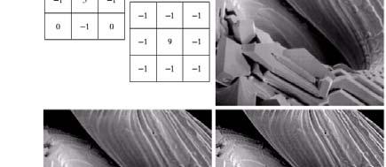 90 45 SEM image results for the 90 results for the 45