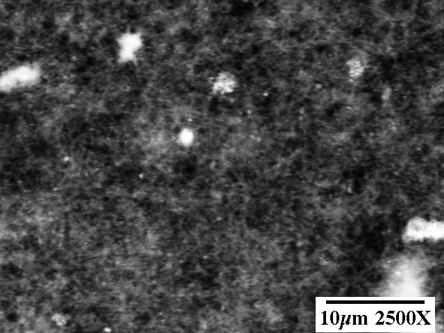 Energy dispersive X-ray analysis identified the large crystals in (a) as a sodium-rich phase (probably NaNO 3 ) and the bright particles in (b) as a uranium-rich phase.