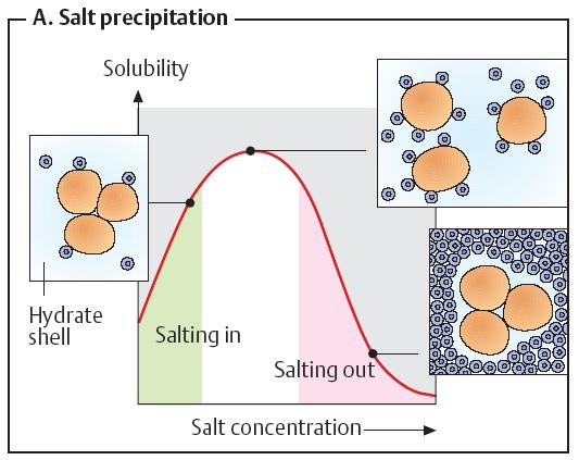 Salt precipitation it is a method of precipitating proteins from the solution under the action of neutral salts in high concentrations (ammonium sulfate, etc.