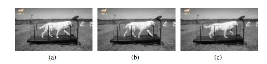 Figure 5: The last frame of the training video (a) is smoothly followed by the first frame (b) of the generated video. A subsequent generated frame can be seen in (c).