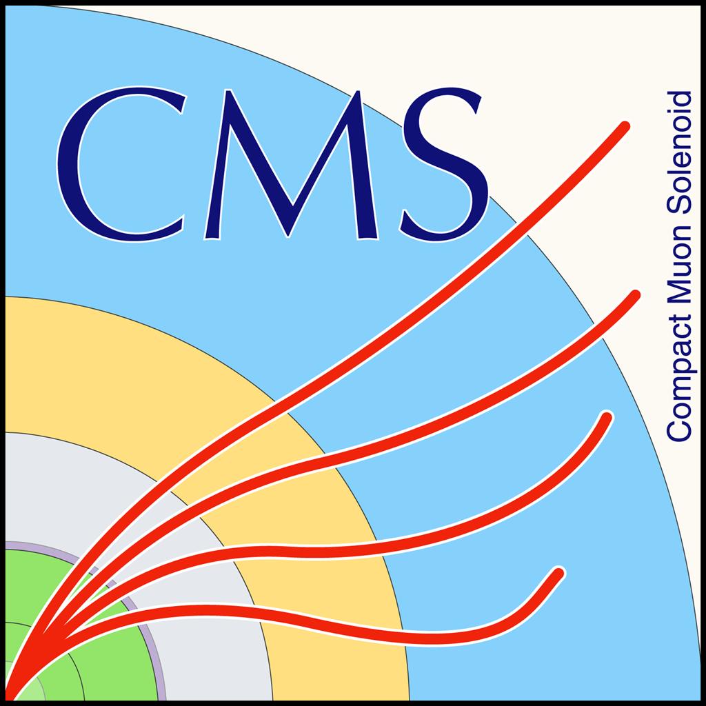 Multi-differential jet cross sections in CMS A.