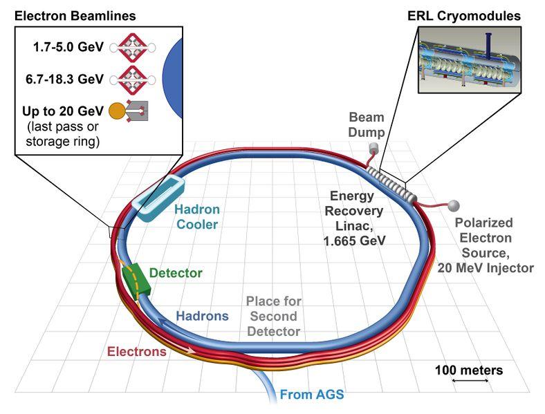 Transition to an electron-ion collider, mid 2020s White paper requirements: 70% polarized e and p/d/h beams Ion beams from d to Pb/U E com from 20 to 100 (150) GeV Luminosity 10 33-10 34 cm -2 s -1