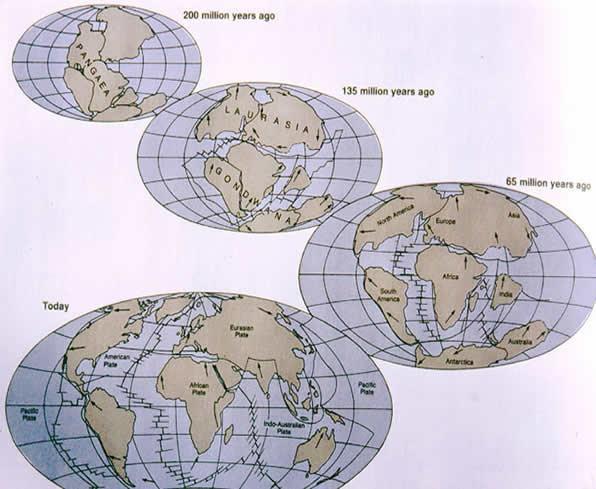 1. What is the theory of continental drift?