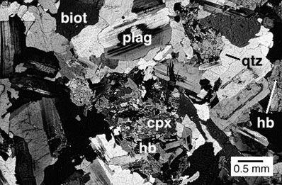 Intermediate rocks (less Fe-Mg, more Na-K-Si-Al) Coarse: Granodiorite,