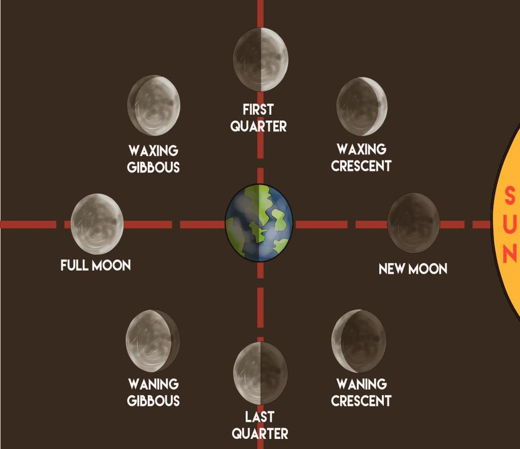 Moon Phases Diagram Moon Phases Diagram http://www.wikihow.