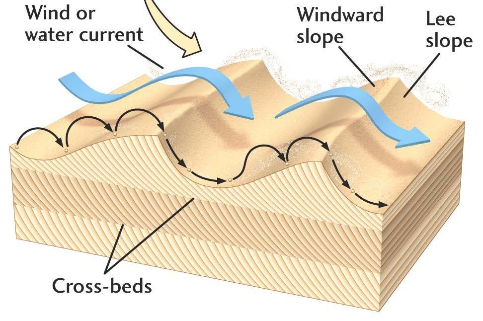 When a current flows over the bottom of the creek and moves grains along it, the larger size grains move along the stream bed in different ways (rolling, bouncing, sliding) and at different speeds