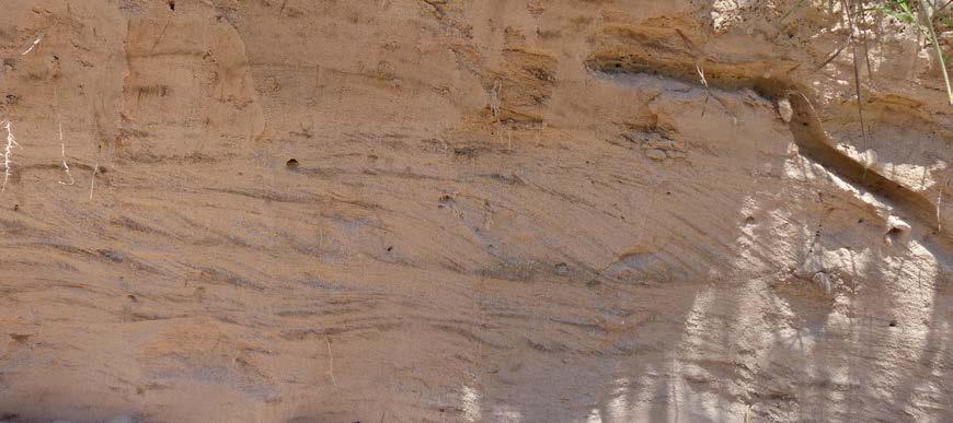 Sedimentary Structures In the deposits of a stream, smaller scale features can be seen.