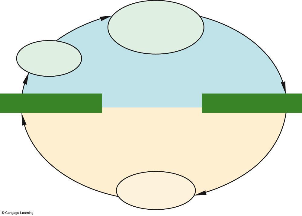 meiosis zygote (2n) fertilization multicelled body (2n) DIPLOID