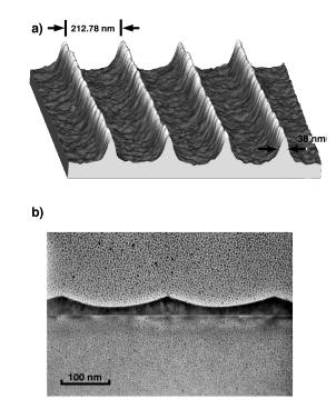 specific Cr line sample used in this study to form the iron nanowires has Cr line peak heights of ~36 nm with FWHM of ~80 nm as measured by atomic force microscopy (AFM).