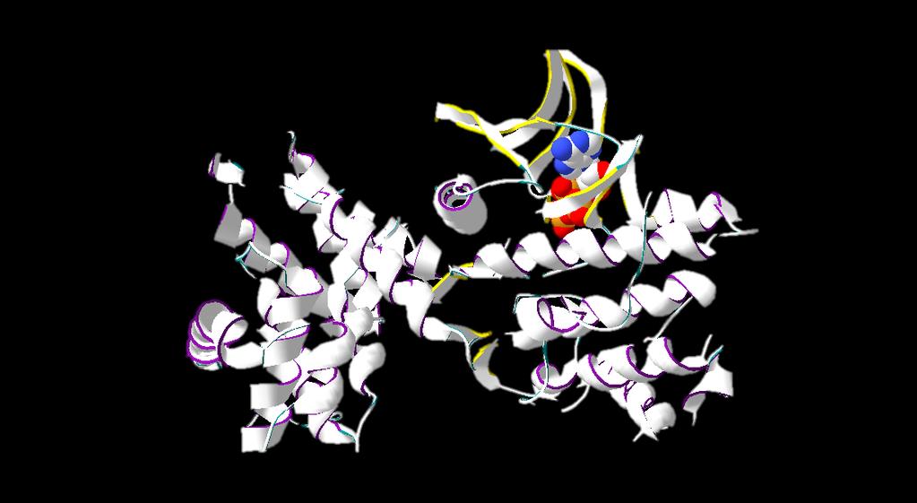 Cyclin-Dependent Kinase