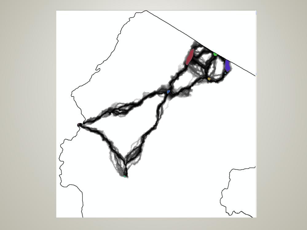 This is using the cores resulting from the first run shown on slide 20 and then running the corridor modeling. The darkest corridors represent the areas of least resistance between cores.
