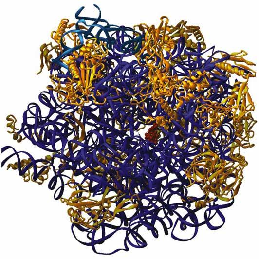 This intricate structure of a complex protein