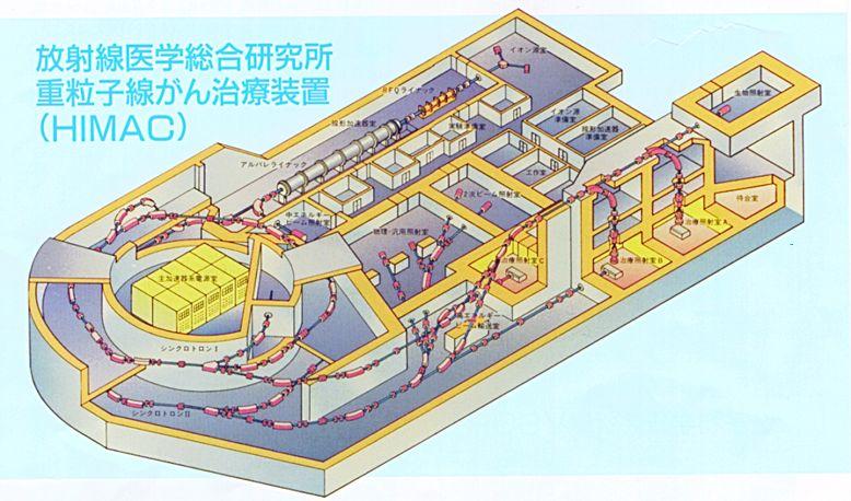 A drawing showing the Japanese proton ion synchrotron, HIMAC.