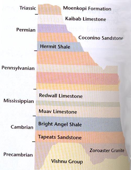 While the actual age of the rock layers is not known, geologists assume that the oldest layers are on the bottom and each layer going toward the top is younger The principle of superposition states