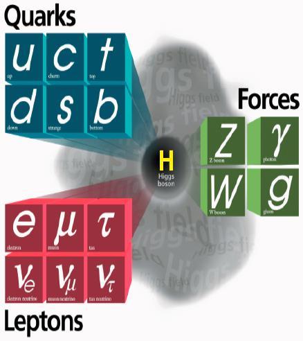 Model of Particle Physics Model of elementary particles and fundamental forces Lepton & Quark flavors Anti-particles Relativity and Quantum Theories Gauge Theories Feynman Diagram Symmetries and