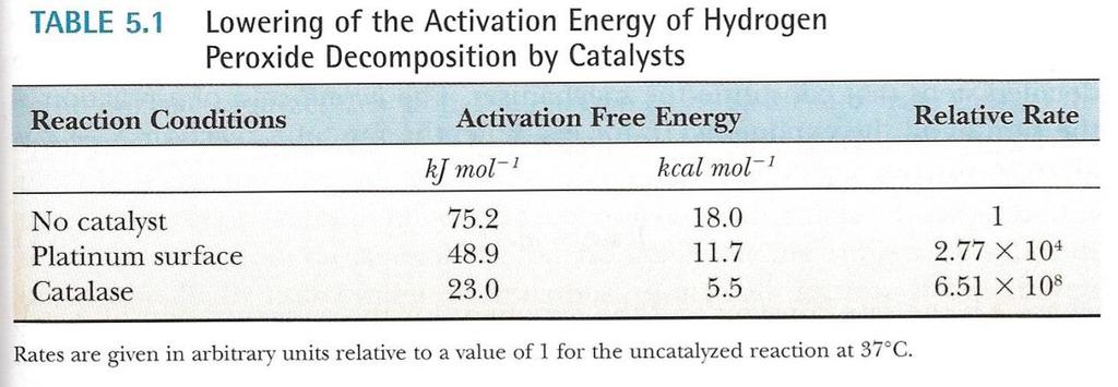 the rates of reactions? Cells eliminate harmful hydrogen peroxide by: 2 H 2 O 2 2 H 2 O + O 2 Ref: Campbell and Farrell, Biochemistry, 4 th Ed., Table 5.