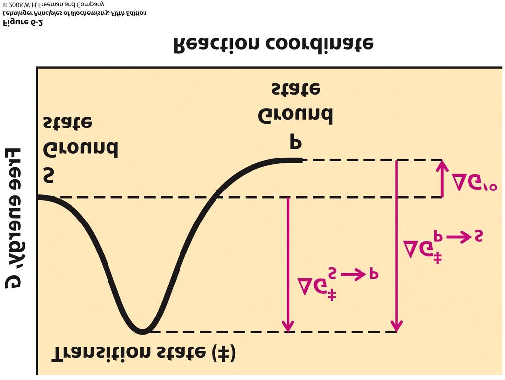 The free energy of the system is plotted against the progress of the reaction S P A diagram of this kind is a description of the energy changes during the reaction, and the horizontal axis (reaction