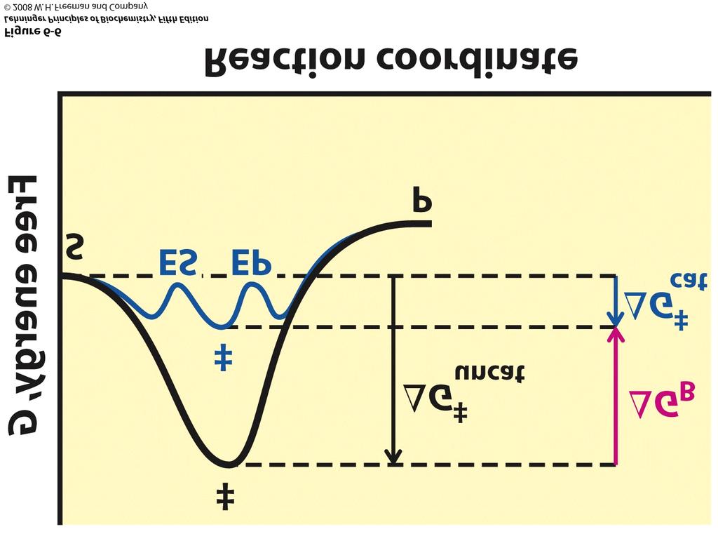 Role of binding energy in catalysis To lower the activation energy for a reaction, the system must acquire an amount of energy equivalent to the amount by which ΔG is