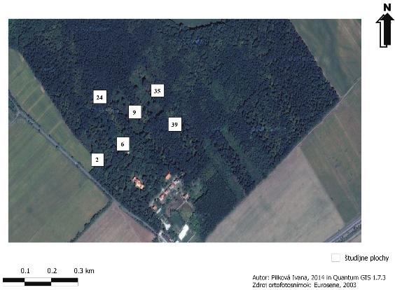 Figure 1 4 1 2 3 5 6 10 7 11 8 12 9 The area of interest Báb forest with marked permanent areas Source: ILE SAS, branch Nitra The reléves were put together by standardized phytocenological methods