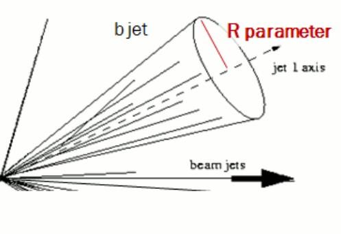 Jet algorithms Nearness in relative transverse momentum => Kt algorithm. Nearness in angle Cone Algorithm.