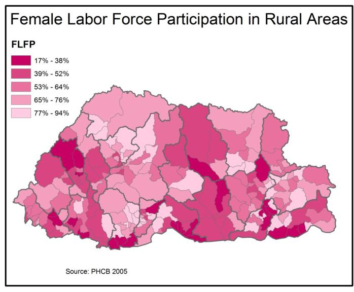 One of the most prominent indicators in women s economic engagement is the female labor force participation, which represents all economic engagements, both paid and unpaid. 72.