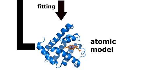 molecules interact and function.