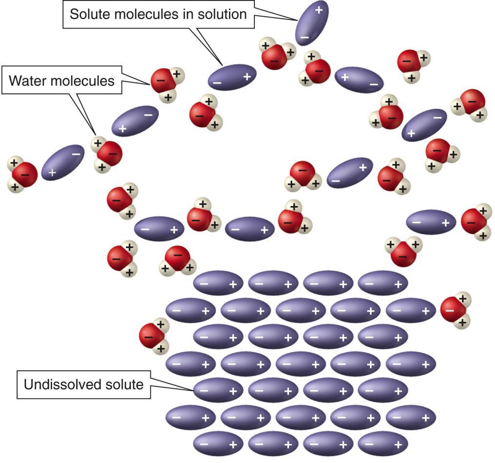 All organic molecules are capable of this extremely weak instantaneous dipole-dipole interaction; however, this is the only type of intermolecular attractive force available to molecules that are