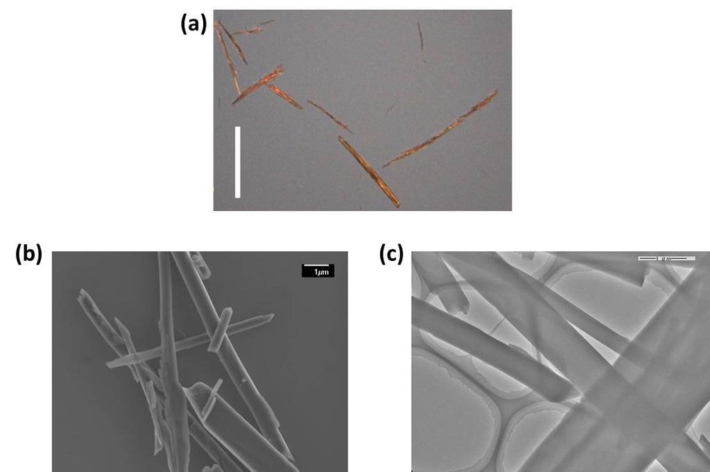Figure S1. (a) Optical microscope image of QQT(CN)4 single crystal microwires. The scale bar is 100 m. (b) SEM image of solution-processed QQT(CN)4 single crystalline microwires. The scale bar is 1 m.