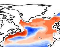 Sea Surface Temperature (SST) bias
