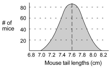 Complete the graph below to represent your leaf data. Notice that we are grouping the data into size categories, and therefore this is a histogram of the data.