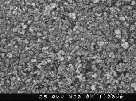 G. Nabiyouni et al./ JNS 5 (2015) 289-295 293 Fig. 5. SEM images of ZnO nanoparticles Fig. 6.
