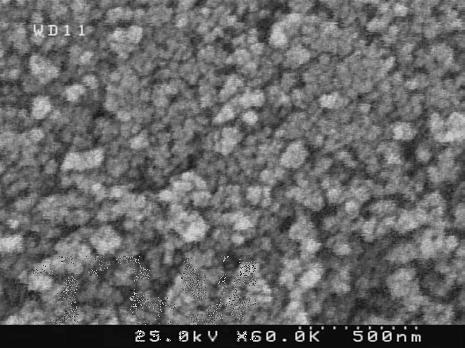 to pure ferrite nanoparticles. Room temperature magnetic properties of samples are studied using a VSM device.