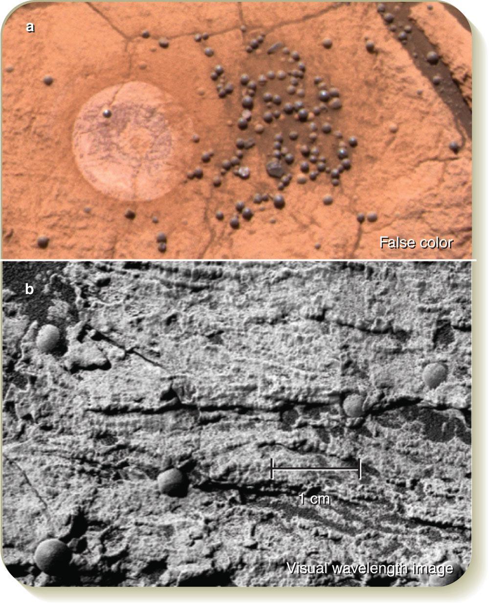 Evidence for Past Water on Mars Hermatite concretions (spheres) photographed by Mars Rover
