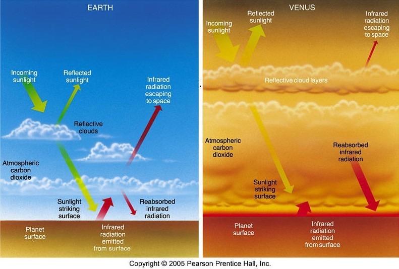 The surface of Venus is so hot because of the greenhouse effect.