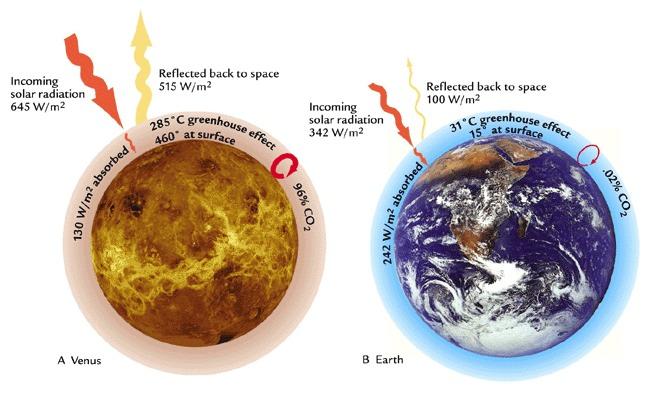 Venus actually reflects 70% of sunlight back into space, whereas Earth only reflects 30%, which means that Earth actually receives somewhat more sunlight at the surface than Venus, despite being