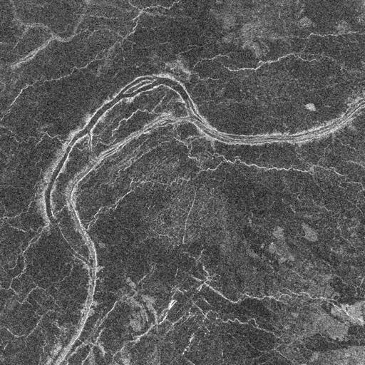 Venus also has lava channels, like rivers feeding the lava flood plains. These are typically a few kilometres wide and up to thousands of km in length.