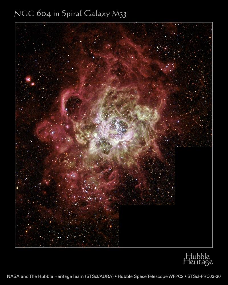 Resolved Starburst Clusters Near & Far Andrea Stolte I.