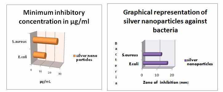 Green route synthesis Figure 8: Graphical representation for antibacterial activity CONCLUSION Green route synthesis of nano sized silver particles using Abelmoschus esculentus as natural binder
